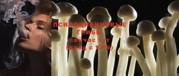 дмт Алексин